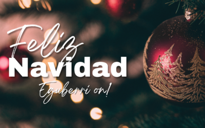 Feliz Navidad y gracias por confiar en Aranseiki un año más